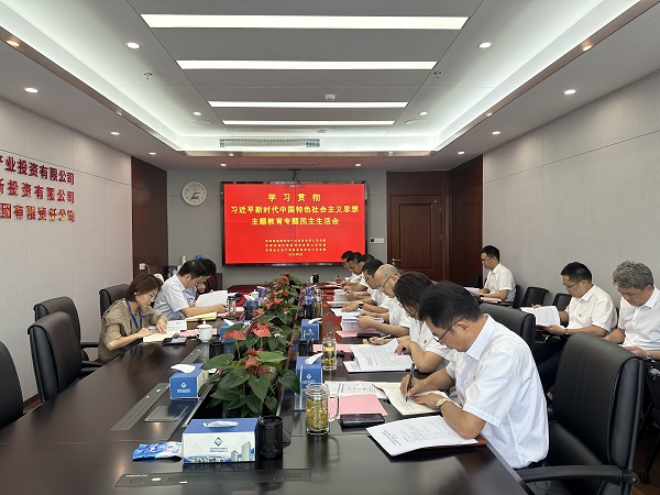 安徽AG贵宾会地产集团等三家公司党委召开学习贯彻习近平新时代中国特色社会主义头脑主题教育专题民主生涯会