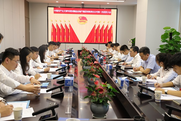 青春向党传薪火 踔厉高昂新时代——安徽AG贵宾会地产集团团支部建设大会暨团员大会胜利召开