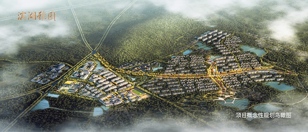 百岁人生，心悦雅园系列报道（一）全省首个4.0康养生涯小镇落户滨湖