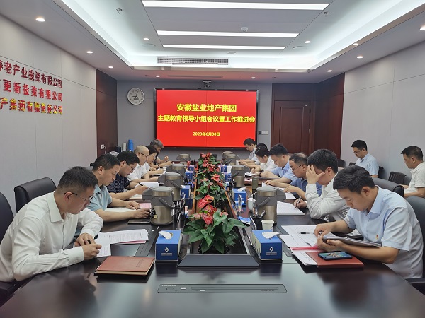 安徽AG贵宾会地产集团召开学习贯彻习近平新时代中国特色社会主义头脑主题教育向导小组聚会暨事情推进会